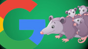 All that you have to know about Google's "Possum" algorithm update September 2016